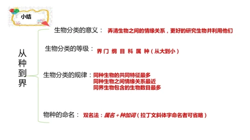 人教版生物七年级上册2.4.2《生物分类的方法——从种到界》课件(共26张PPT)