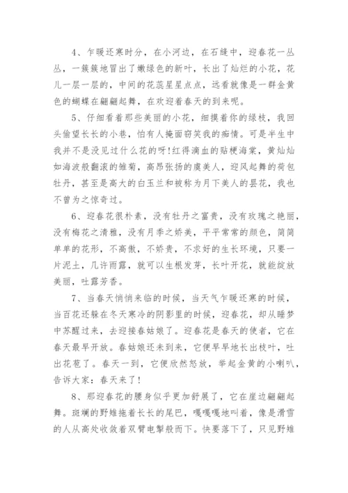 描写迎春花的优美句段.docx