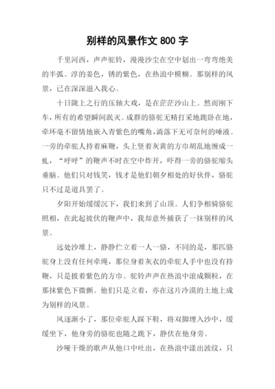 别样的风景作文800字-2.docx