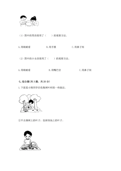教科版一年级上册科学期末测试卷（巩固）word版.docx