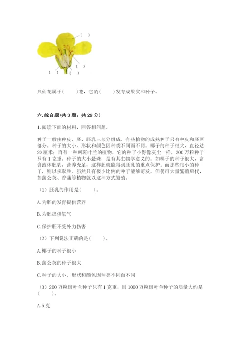 科学四年级下册第一单元《植物的生长变化》测试卷及完整答案【典优】.docx