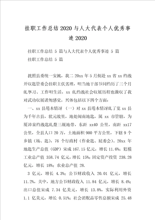 挂职工作总结2020与人大代表个人优秀事迹2020