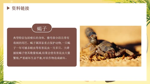 部编版语文六年级下册《表里的生物》