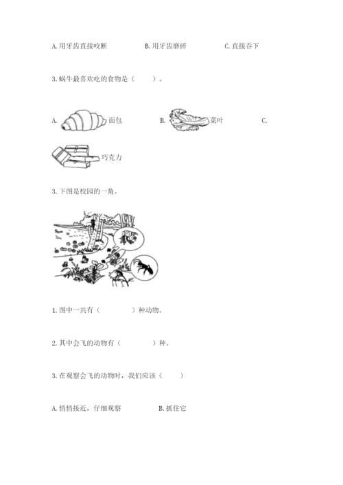 教科版一年级下册科学期末测试卷附下载答案.docx