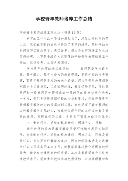 学校青年教师培养工作总结.docx