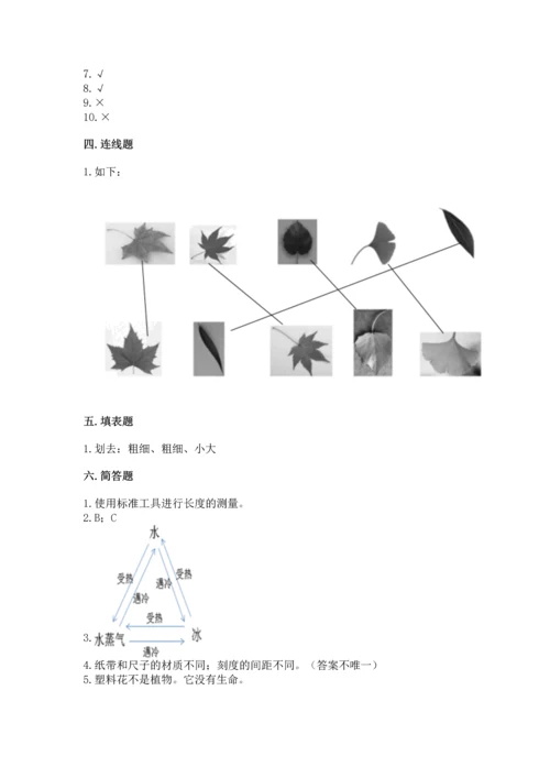 教科版科学一年级上册期末测试卷（考点梳理）.docx