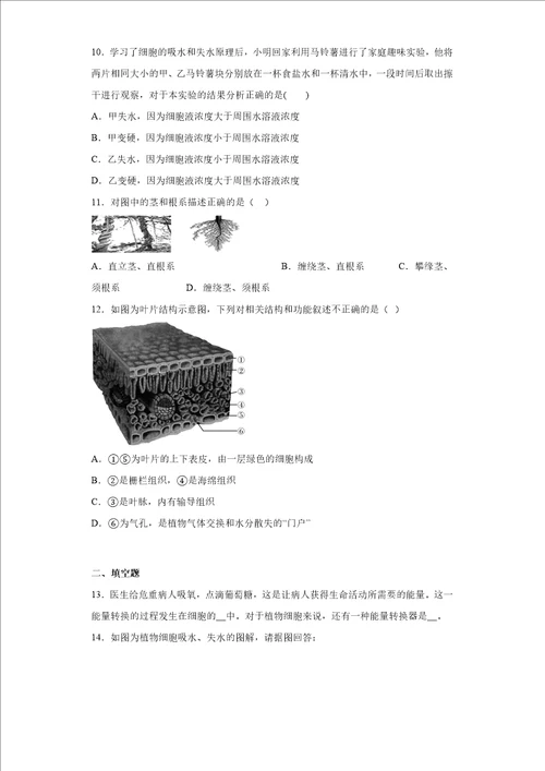 第四章植物的物质和能量转化练习华东师大版科学八年级上册