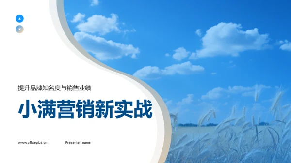 小满营销新实战