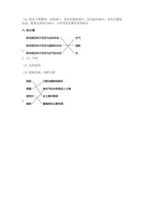 教科版科学五年级下册第一单元《生物与环境》测试卷带答案（达标题）.docx