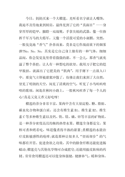 2024年三年级作文榴莲小学说明文7篇