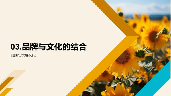 大暑节气营销策略