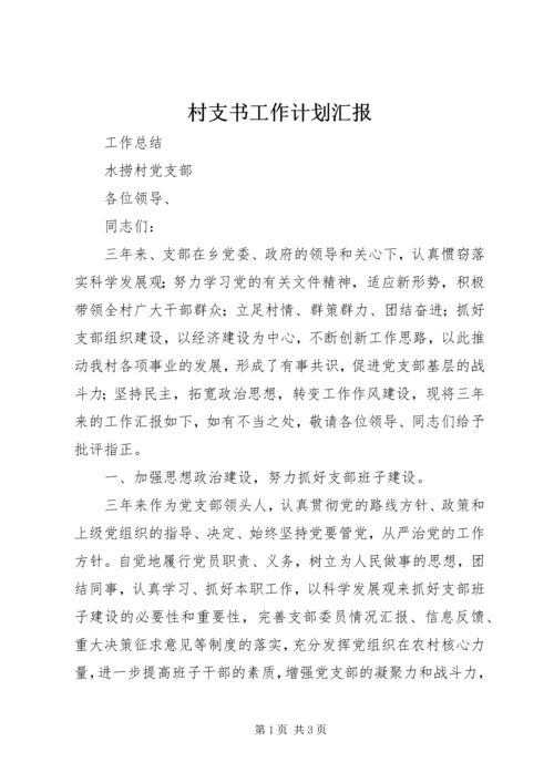 村支书工作计划汇报 (3).docx