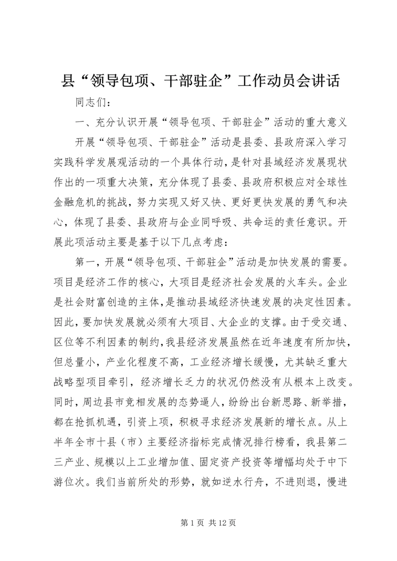 县“领导包项、干部驻企”工作动员会讲话.docx
