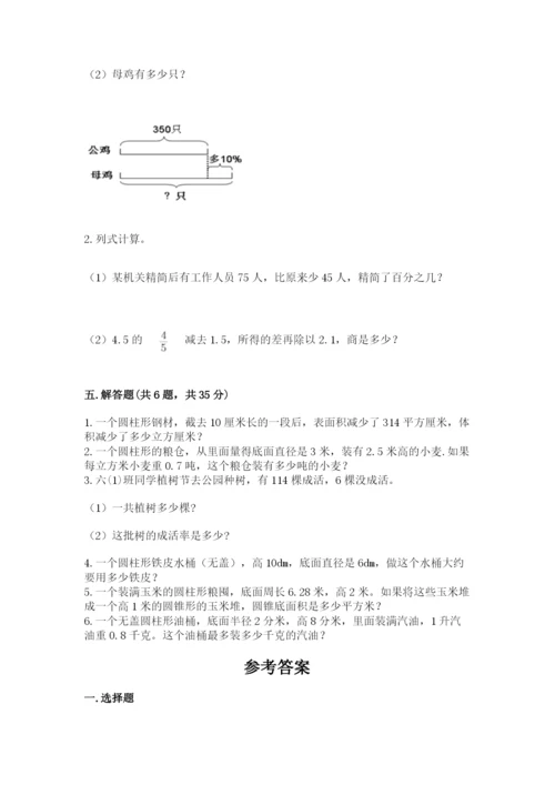 北京版六年级下册数学期中测试卷推荐.docx