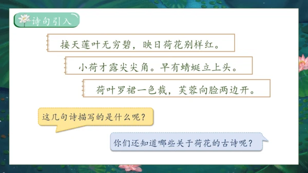 【核心素养】部编版语文三年级下册-3. 荷花 第1课时（课件）