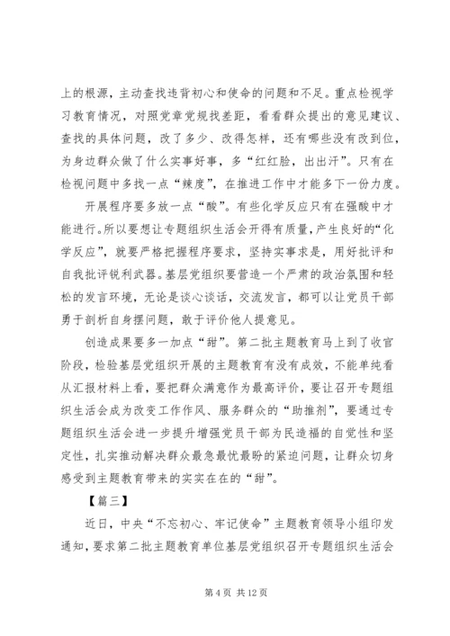 关于如何开好第二批主题教育组织生活会的网评五篇.docx