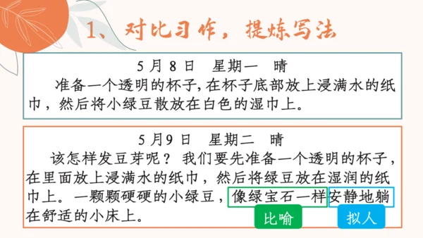 【四上课件】习作三：写观察日记