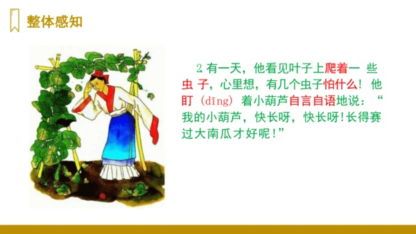 第14课《我要的是葫芦》（课件）