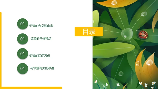 七星瓢虫惊蛰PPT模板
