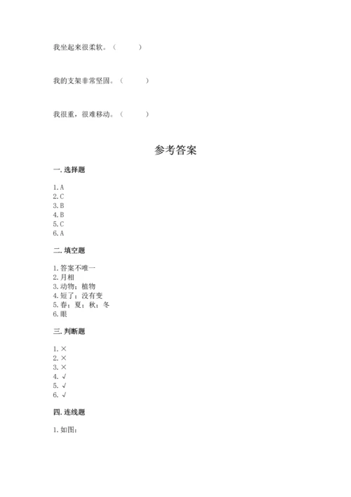 教科版二年级上册科学期末测试卷含完整答案（考点梳理）.docx