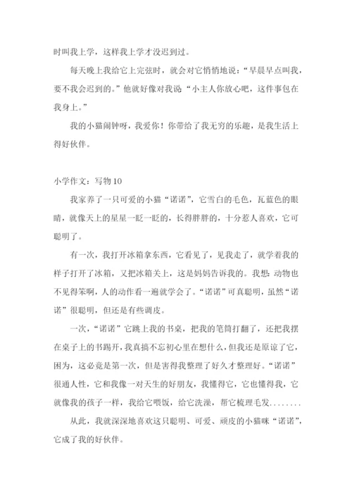 小学作文：写物.docx