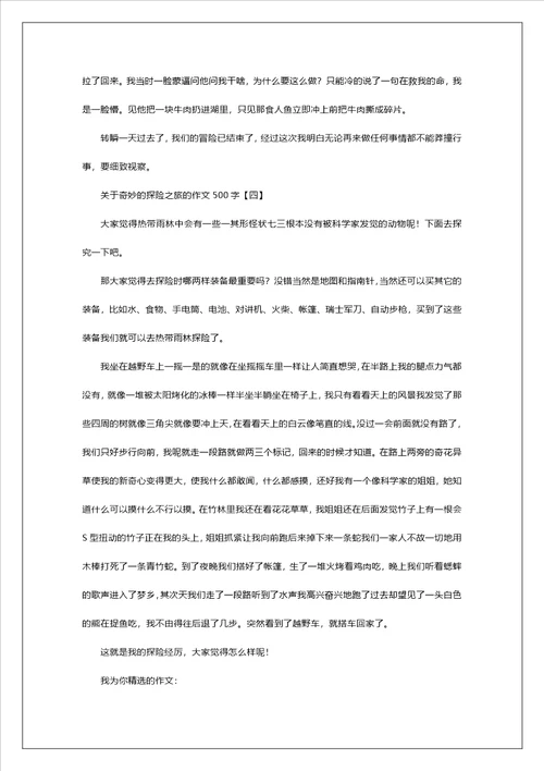 关于神奇的探险之旅的作文500字