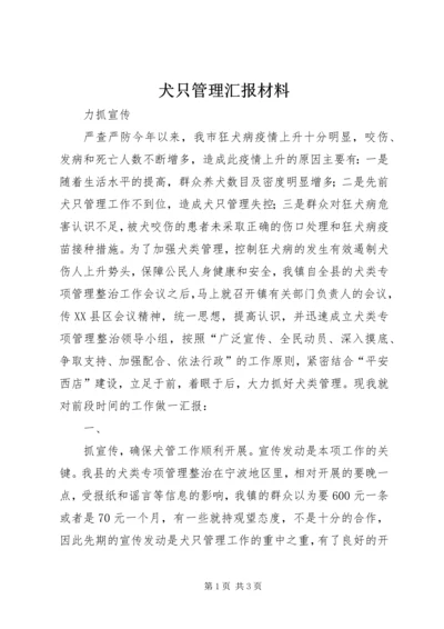 犬只管理汇报材料 (7).docx