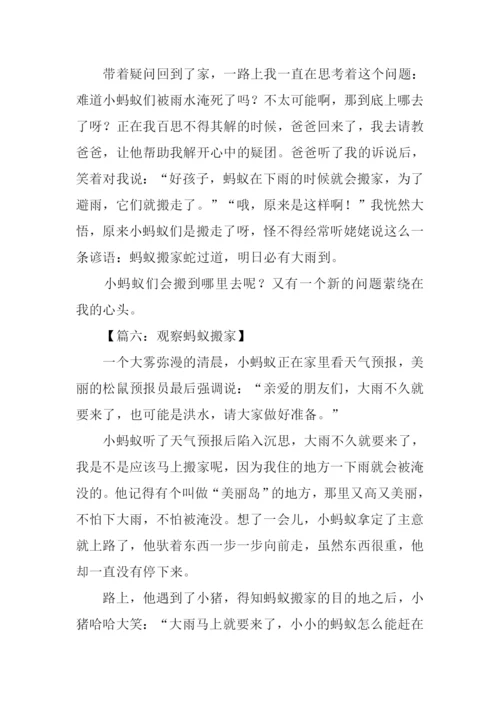 观察蚂蚁搬家的作文.docx