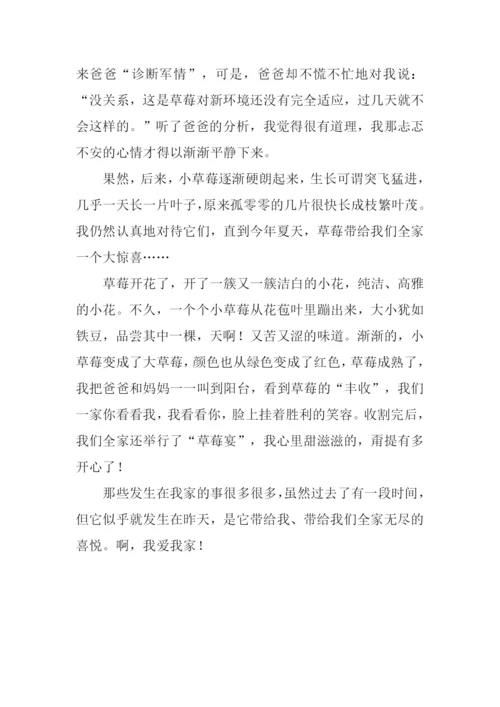 我爱我家作文800字-7.docx