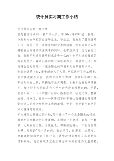 统计员实习期工作小结.docx