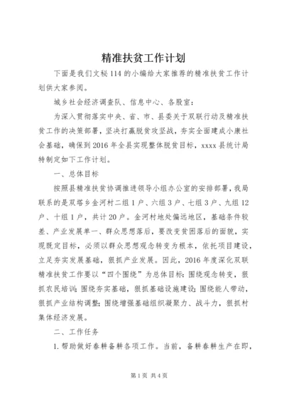 精准扶贫工作计划 (5).docx