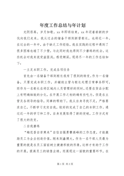 年度工作总结与年计划 (2).docx