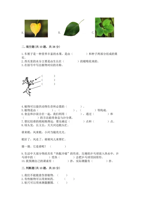 教科版一年级上册科学期末测试卷附参考答案（考试直接用）.docx