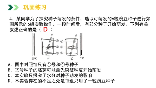 3.2.1 种子的萌发 2023-2024学年七年级生物上册精品教学课件（人教版）(共19张PPT)