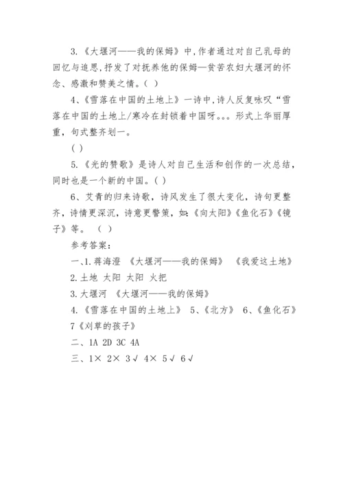艾青诗选中考知识点整理最新.docx