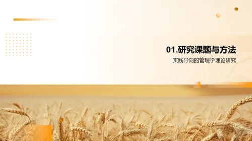 管理学的创新实践