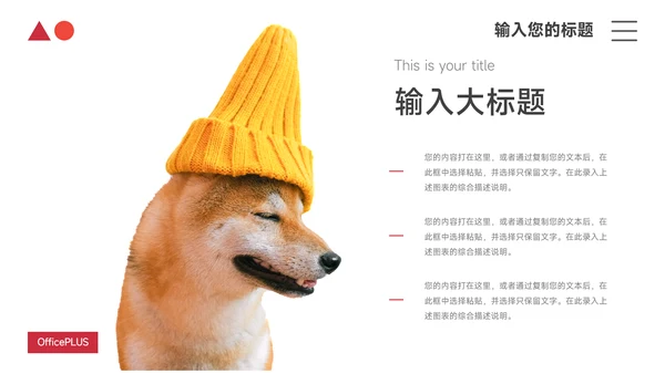 红色极简高级宠物业实习报告PPT模板