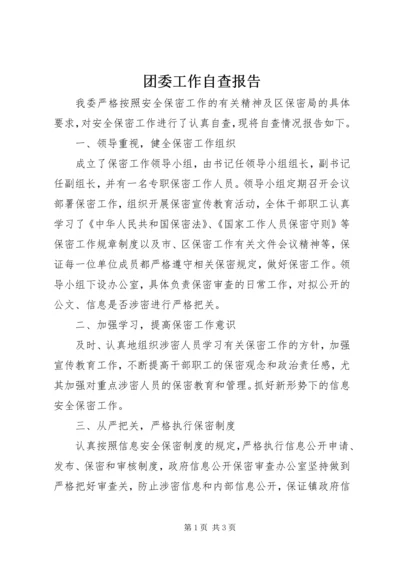 团委工作自查报告 (2).docx