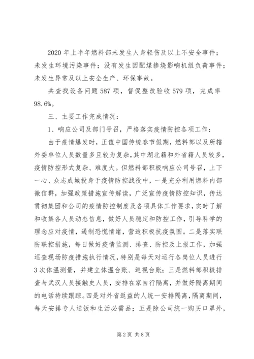 燃料部XX年上半年总结及下半年计划.docx