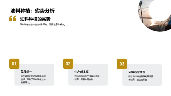 油料种植：新机遇与挑战