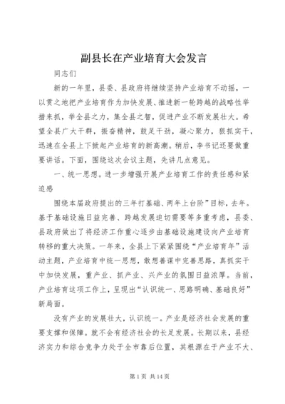 副县长在产业培育大会发言.docx