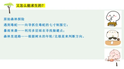 部编版语文五下第六单元习作神奇的探险之旅  课件