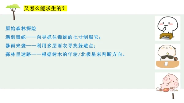 部编版语文五下第六单元习作神奇的探险之旅  课件