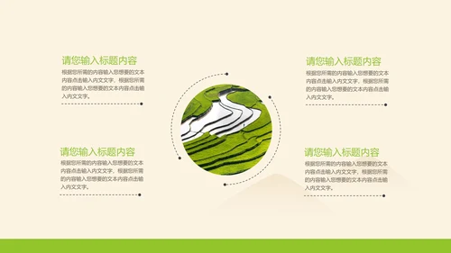黄色插画风水稻粮食教育PPT模板