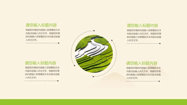 黄色插画风水稻粮食教育PPT模板