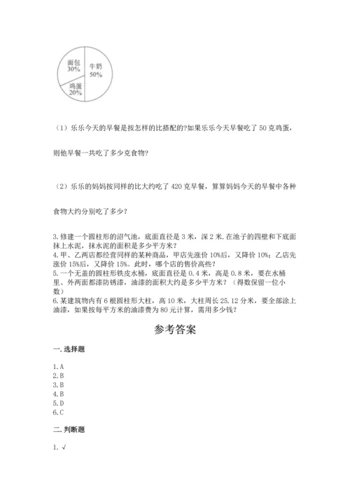 人教版六年级下册数学期末测试卷（培优a卷）.docx