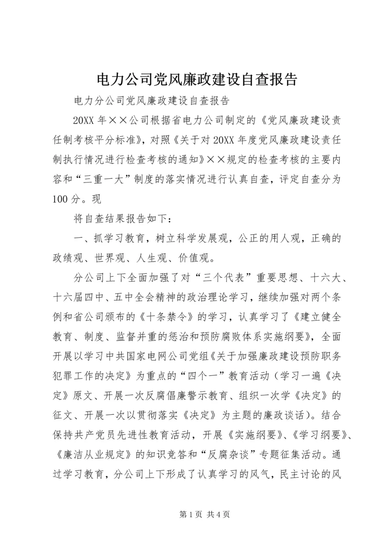 电力公司党风廉政建设自查报告 (6).docx