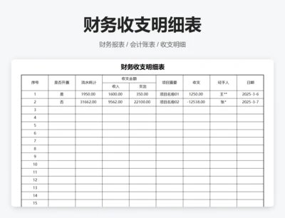 财务收支明细表