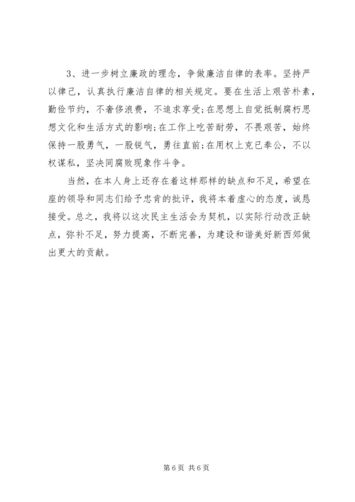 农村党员民主生活会发言稿.docx