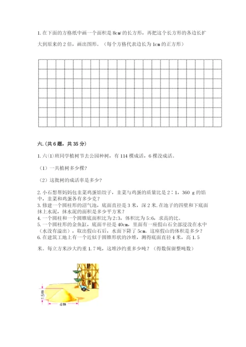 苏教版六年级数学小升初试卷精品及答案.docx